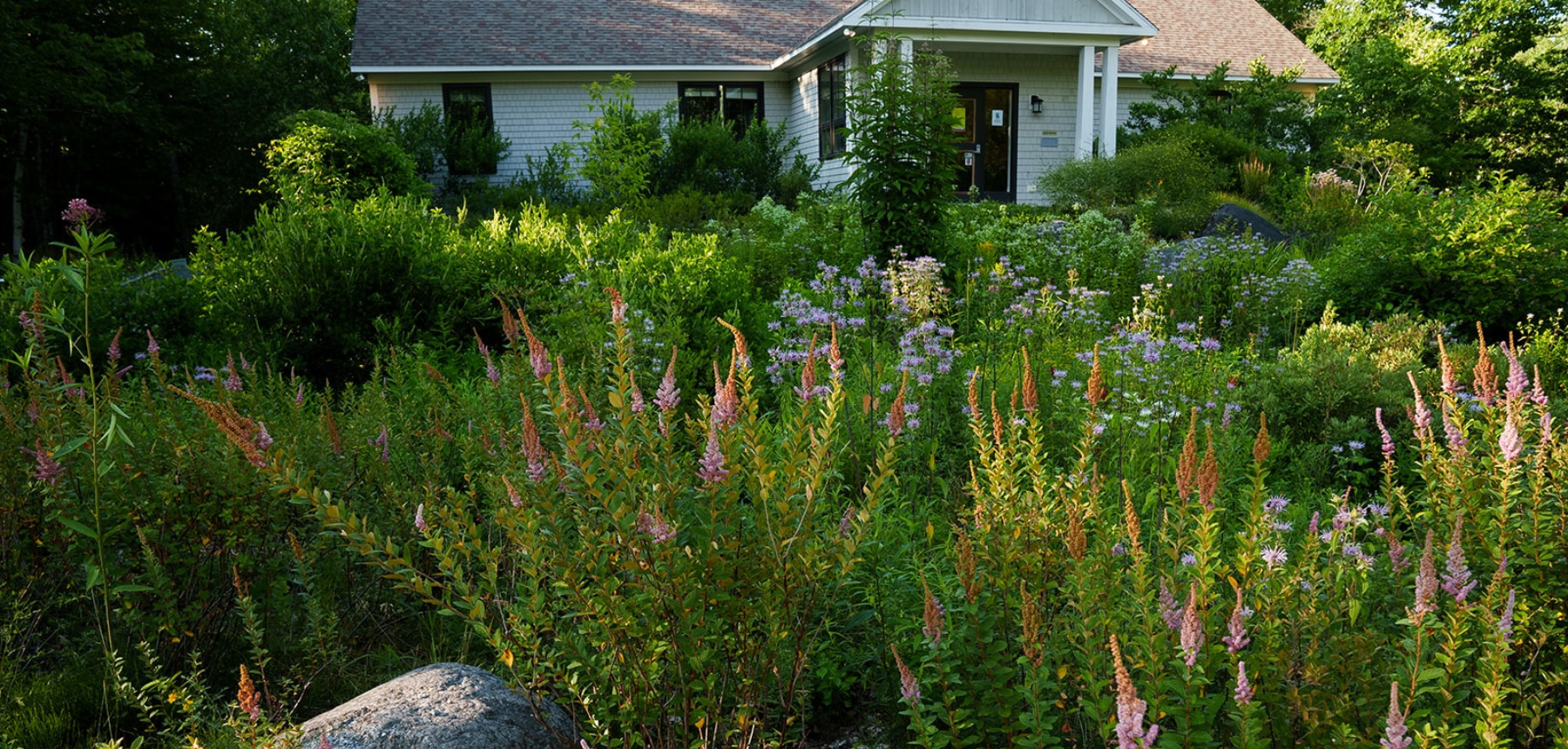 A garden with orange, white, and purple flowers near a white building