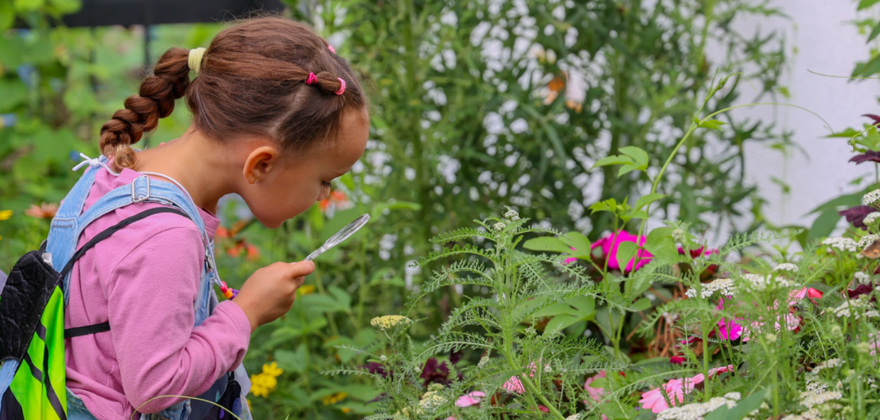 A young girl looks at a plant with a magnifying glass