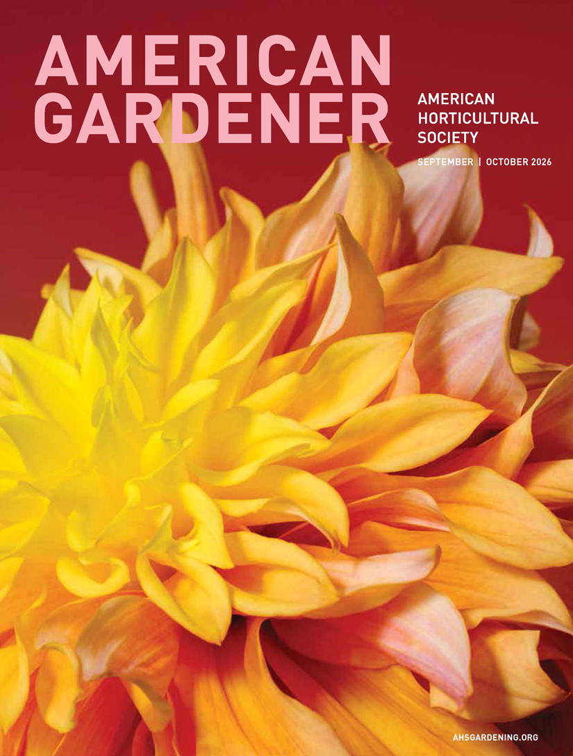 AmericanGardener_SeptOctober2026_cover