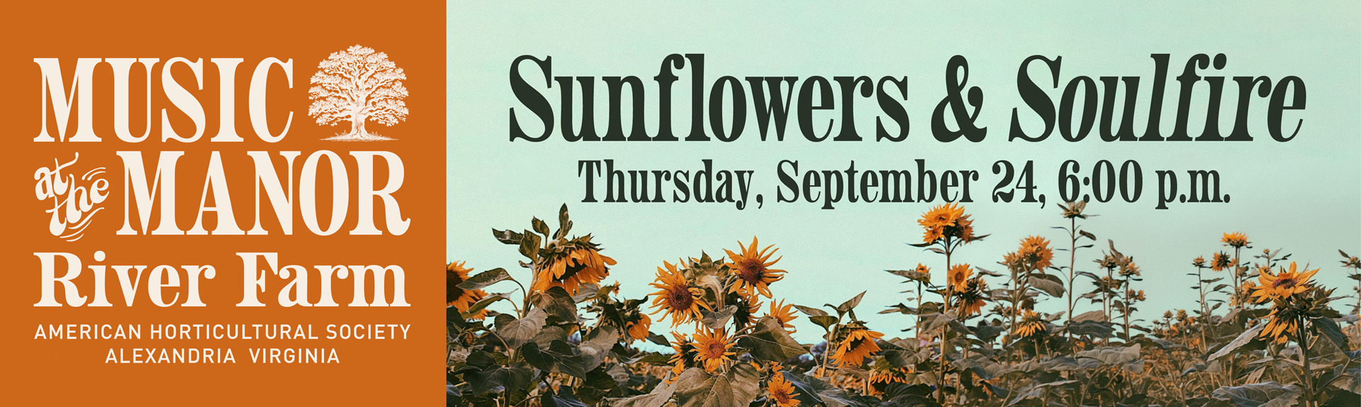 White and black text on pale green and orange backgrounds with sunflowers