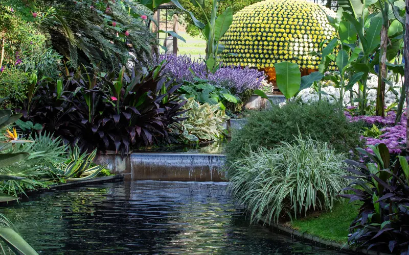 Interior at Longwood Gardens on AHS Travel's Brandywine Valley trip, with a water feature, green plants, and purple flowers.