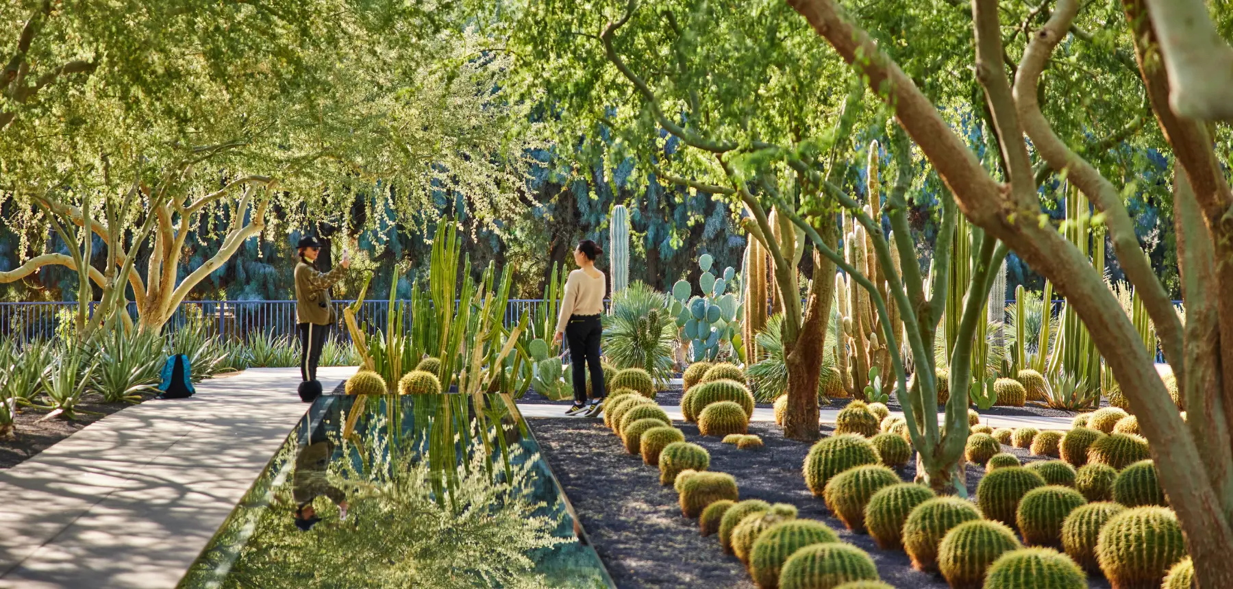 Two people in a garden with cactuses
